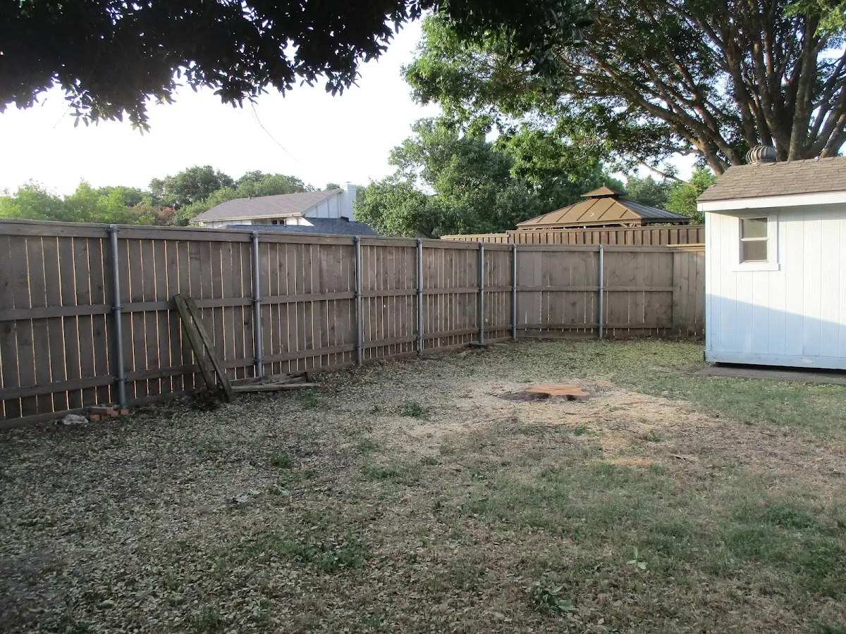 Cleared yard after professional tree removal in Mc Camey