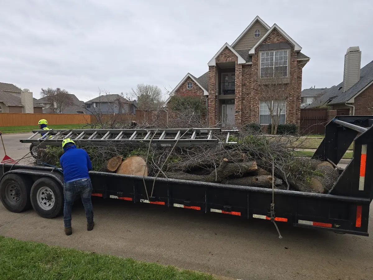 Expert Tree Fertilization with proper safety equipment in Mc Camey